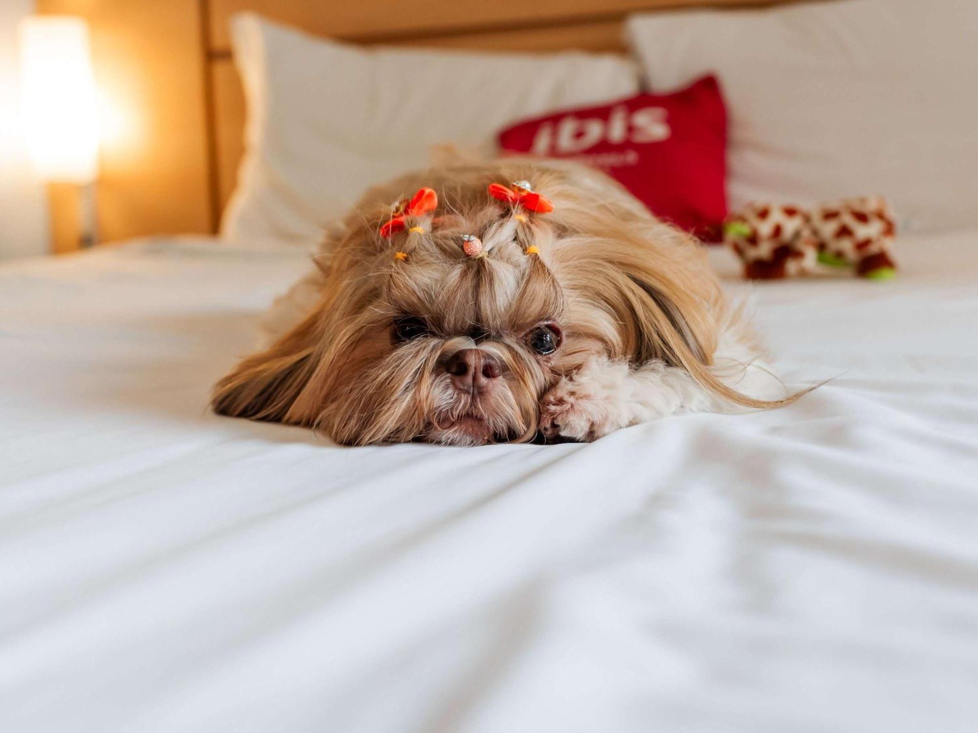 Ibis Joinville Ngoại thất bức ảnh